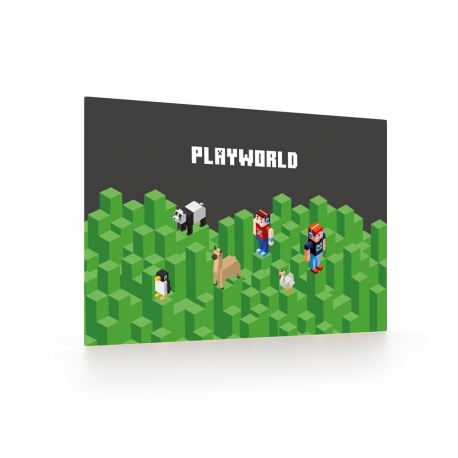 Playworld